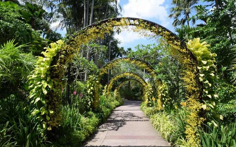 Singapur Botanik Bahçesi