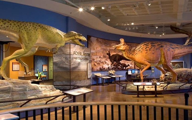 San Diego Doğal Tarih Müzesi