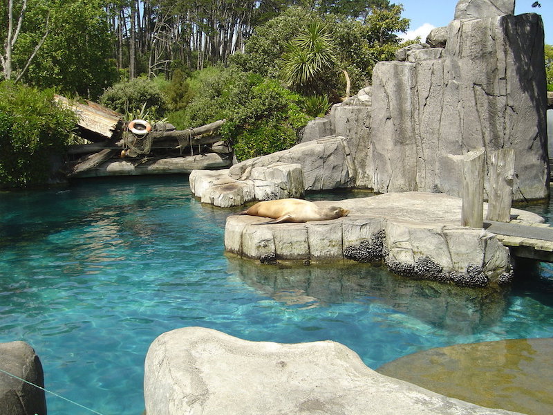 Auckland Hayvanat Bahçesi