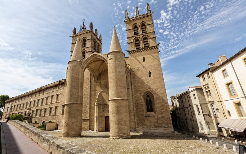 Saint Peter Montpellier Katedrali