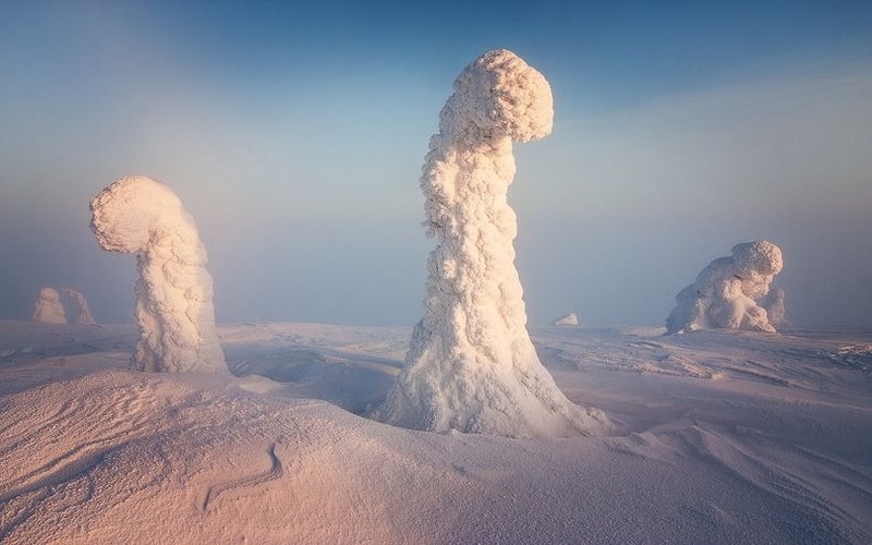 Sentinels of the Arctic (Kuzey Kutbu'nun Nöbetçileri)